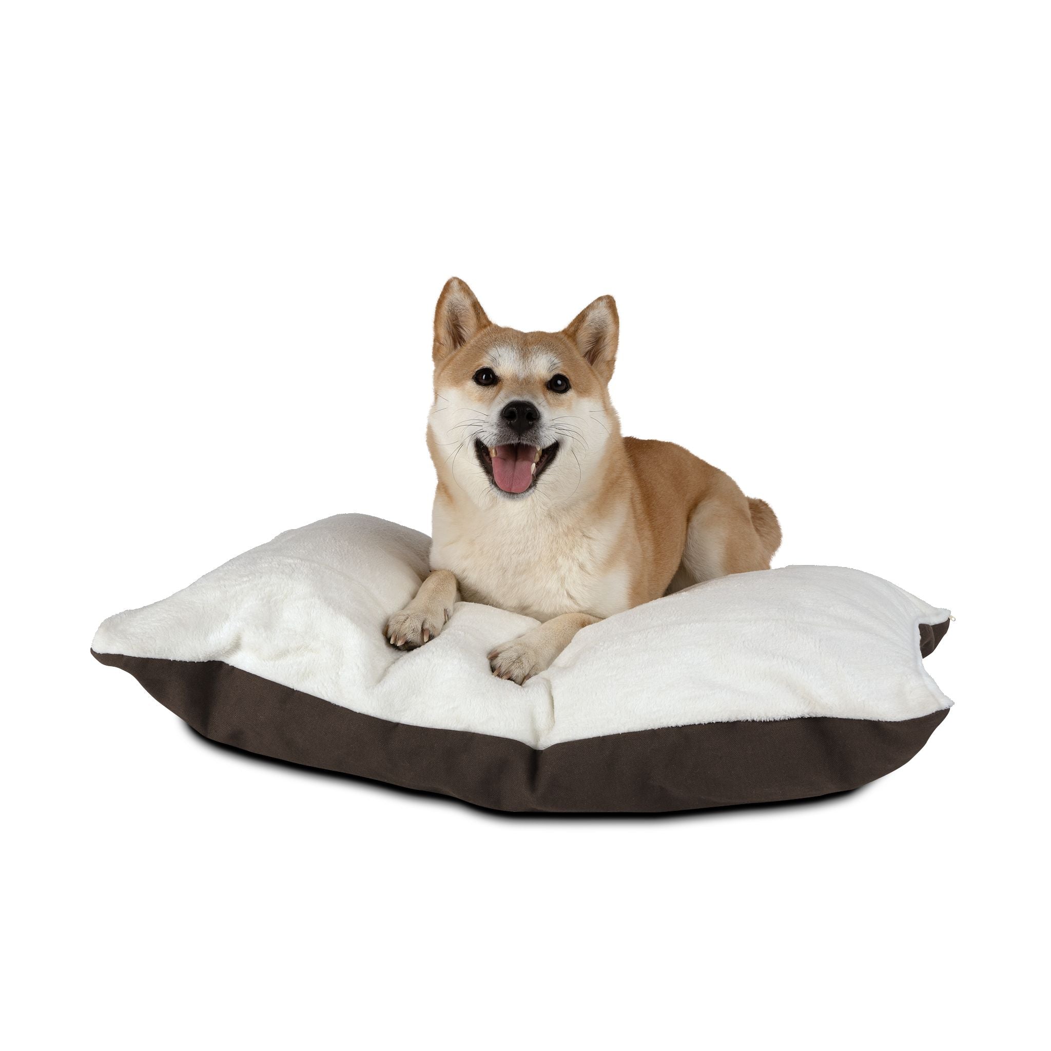 Coussin personnalisé pour animaux de compagnie avec monogramme « Z » — Coussin moelleux personnalisé avec le nom du chien et du chat